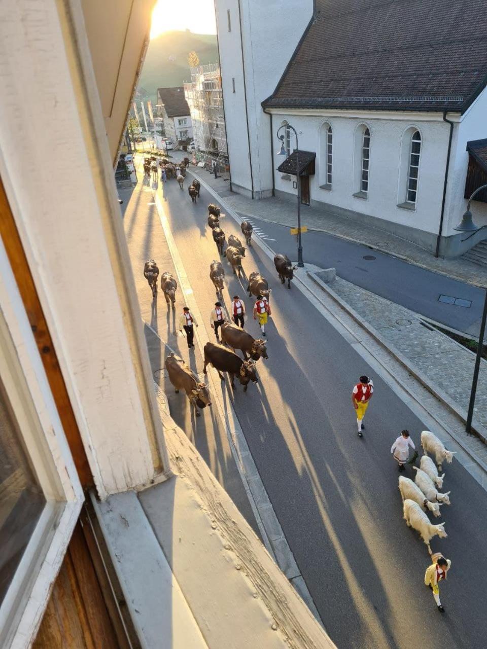 Ferienwohnung Edelweiss Urnäsch Buitenkant foto
